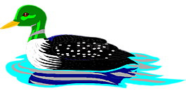 水,鸟,游泳