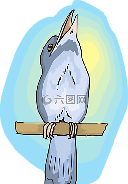鳥,枝杈,翅膀