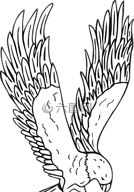 鳥,飛行,翅膀