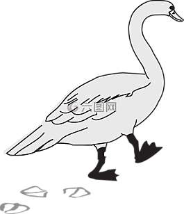 鳥,足跡,翅膀