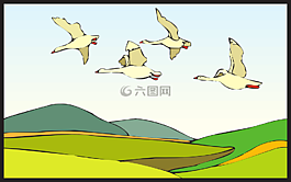 土地,景觀,鳥