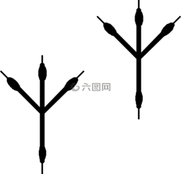 標(biāo)記,鳥,足跡