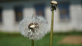 鄉(xiāng)村,性質(zhì),營地