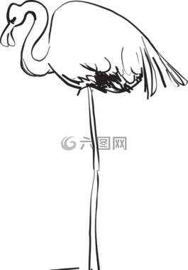 水,鳥,火烈鳥