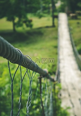 性質(zhì),木纖維板,樹