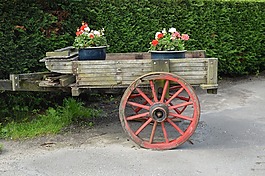 購物車,運(yùn)輸,花園