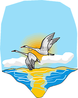 鳥,飛行,鵝