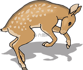 討好,動物,鹿