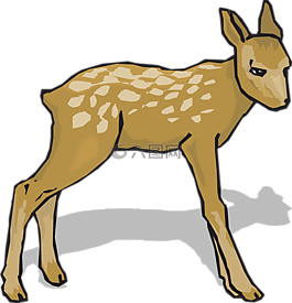 討好,動物,鹿