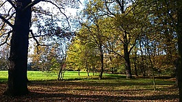 公園,波蘭,弗羅茨瓦夫