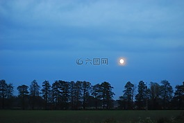 性質(zhì),景觀,樹