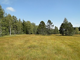 景观,红thurm,schwyz