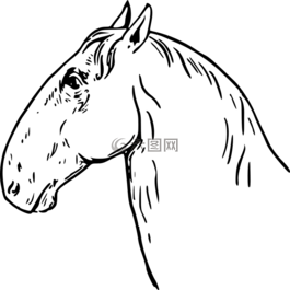 头,马,鬃毛