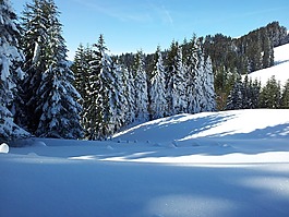 寒冬,冬天,高山
