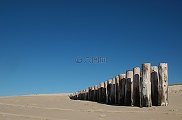 沙丘,海滩,盖鼬