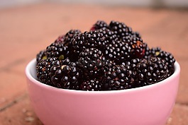 黑莓,碗,水果