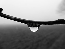 模糊,雨滴,秋季