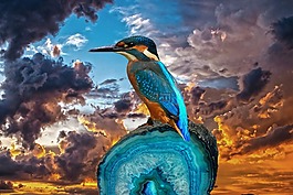 翠鳥(niǎo),鳥(niǎo),幻想