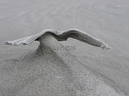 海灘,砂,抽象