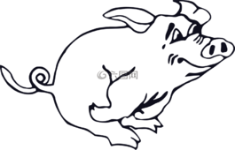 豬,運(yùn)行,動(dòng)物