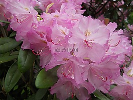 植物園,春天,生活的本質(zhì)