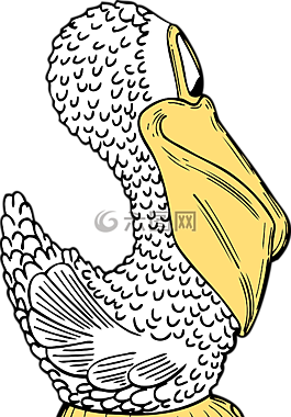 鳥,側(cè),鵜