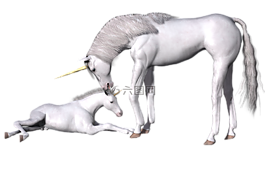 獨(dú)角獸,幻想,仙女