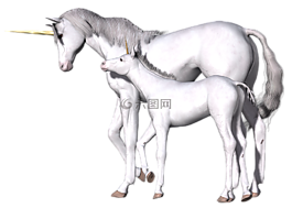 獨(dú)角獸,幻想,仙女