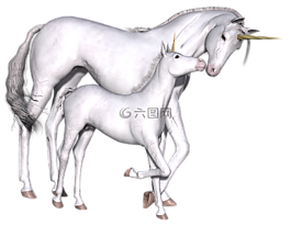 獨角獸,幻想,仙女