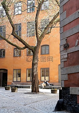 正面,窗口,展望