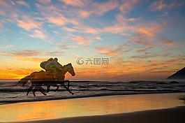 日落,賽車,馬匹