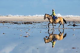 海灘,騎手,馬