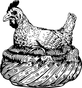 母雞,籃,動(dòng)物