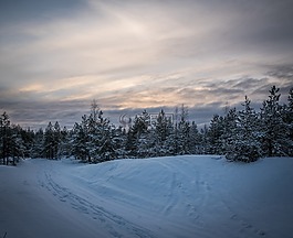 雪,冬季,冷淡地