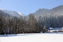 雪,冬季,冷