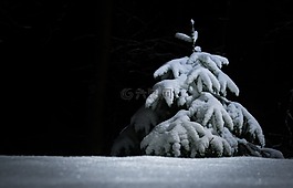 戶外,雪,冬季