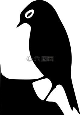 黑,側影,鳥