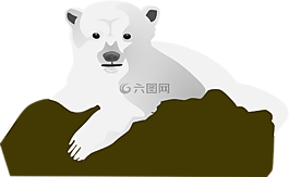 石,熊,雪