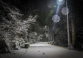 雪,冬季,燈