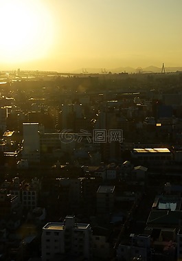 大阪,夜景,城市