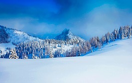奥地利,冬天,雪