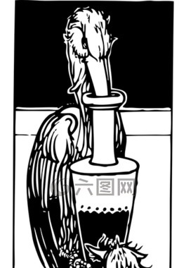 鹳,鸟,鸟嘴