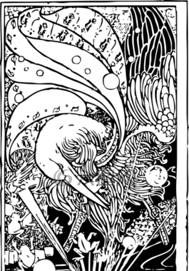 鳥,天鵝,羽毛