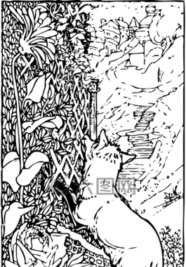 ?？怂?動(dòng)物,攀登