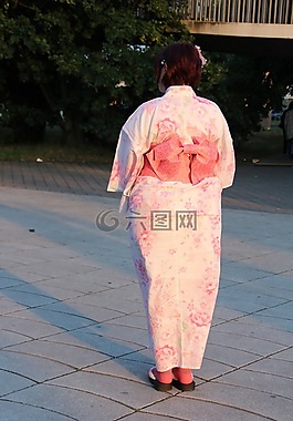 藝伎回憶錄,動議,日本