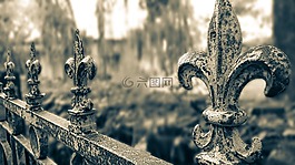 自然,老,結(jié)構(gòu)