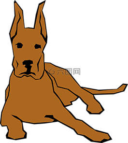 狗,寵物,動物
