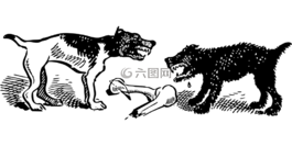 狗,野生,動物