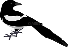 回,鳥(niǎo),尋找
