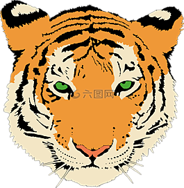 虎,頭,貓的